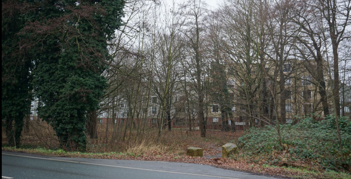 In diesem Wald an der Weseler Strae in Mecklenbeckbeck befand sich das Zwangsarbeiterlager